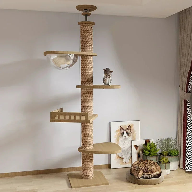 Multi-Level Cat Tree