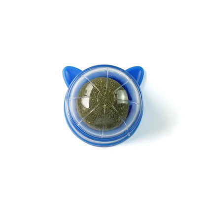 Cat Grass Toy – Natural Digestive Aid for Cats