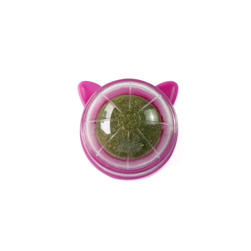 Cat Grass Toy – Natural Digestive Aid for Cats