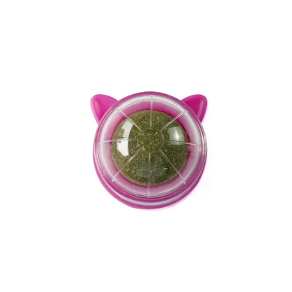 Cat Grass Toy – Natural Digestive Aid for Cats