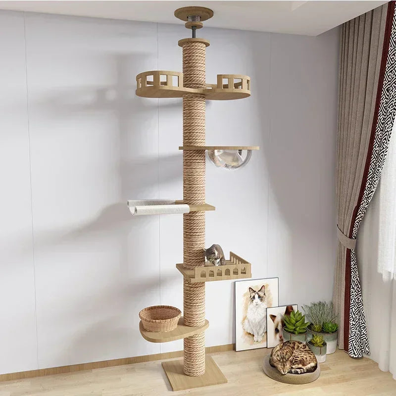 Multi-Level Cat Tree