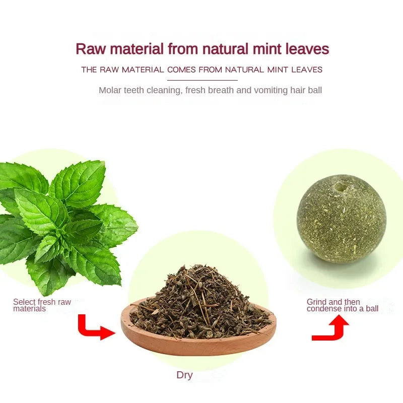 Cat Grass Toy – Natural Digestive Aid for Cats