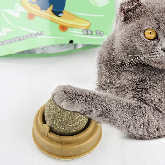 Cat Grass Toy – Natural Digestive Aid for Cats