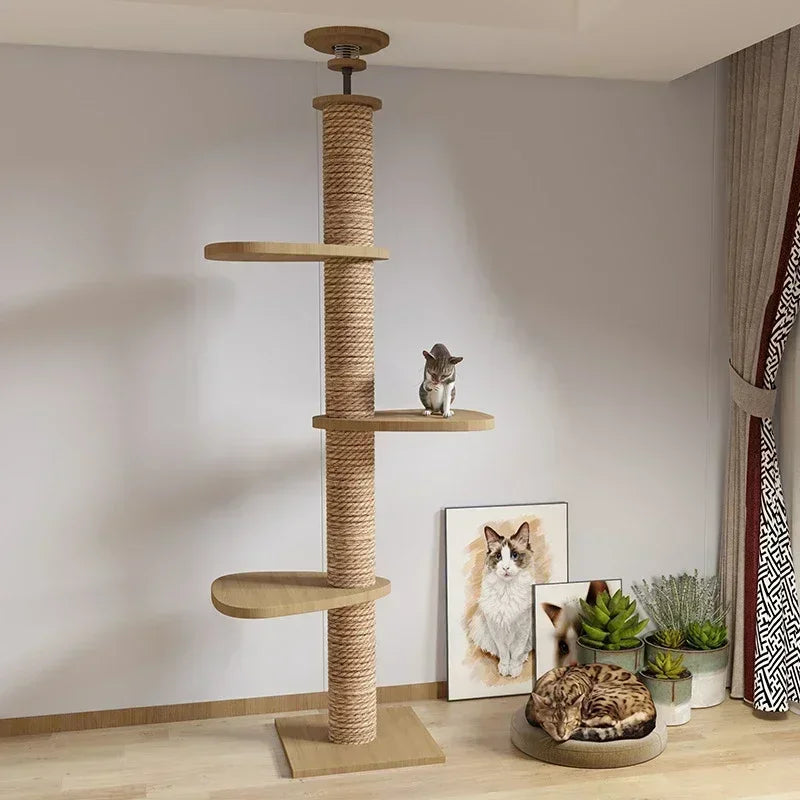 Multi-Level Cat Tree