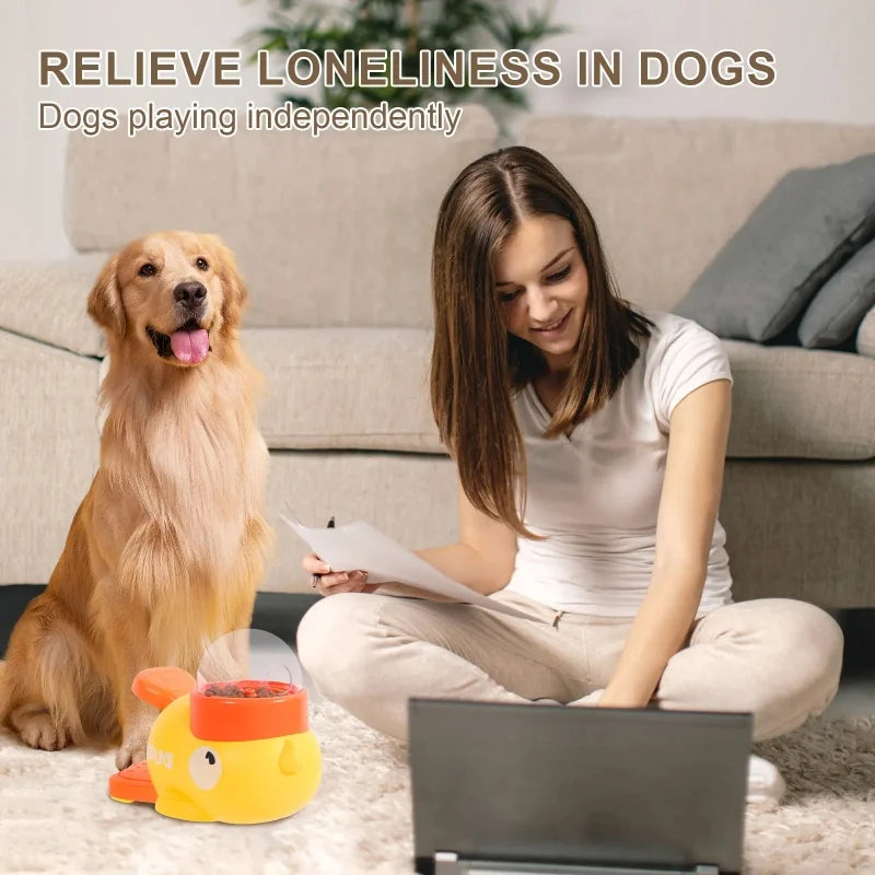 Automatic Feeder Cat Dog Interactive
