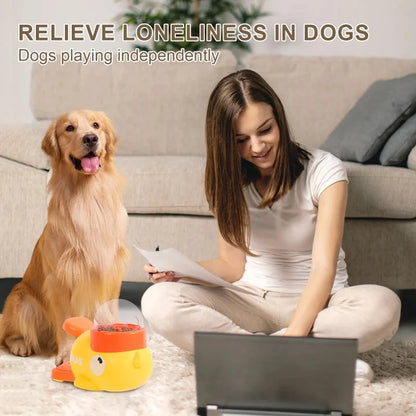 Automatic Feeder Cat Dog Interactive