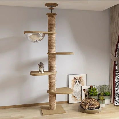 Multi-Level Cat Tree