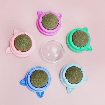 Cat Grass Toy – Natural Digestive Aid for Cats
