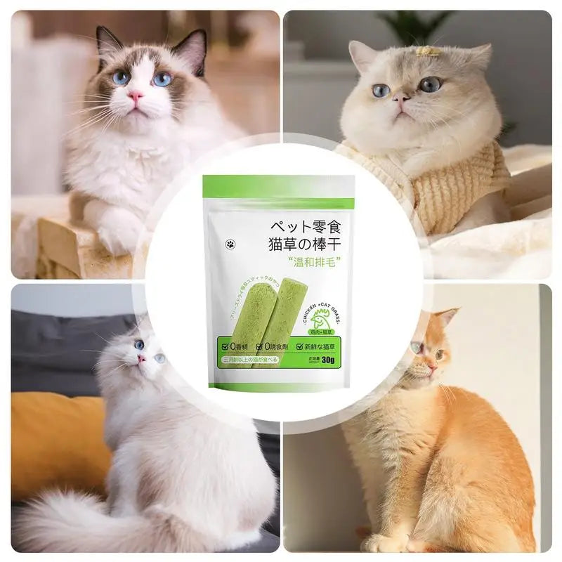 Cat Grass Chew Sticks – Natural Teeth Cleaner for Indoor Cats