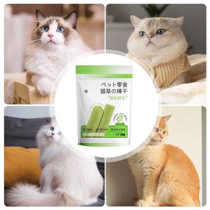 Cat Grass Chew Sticks – Natural Teeth Cleaner for Indoor Cats