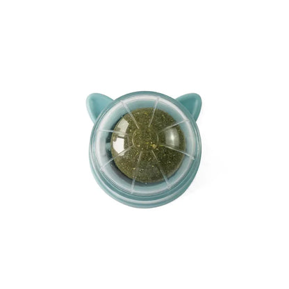 Cat Grass Toy – Natural Digestive Aid for Cats