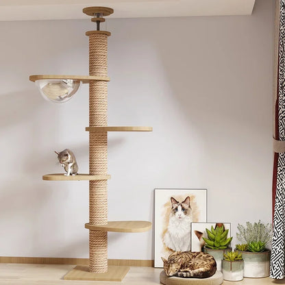 Multi-Level Cat Tree