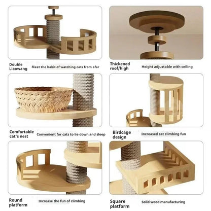 Multi-Level Cat Tree