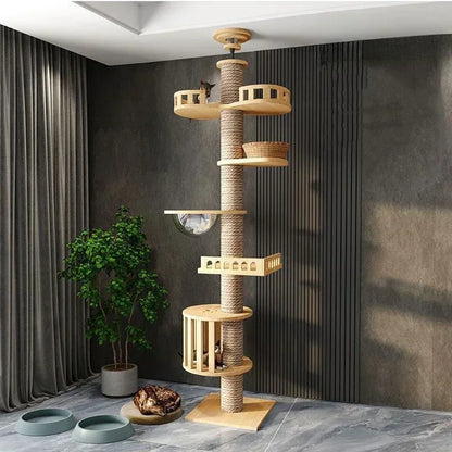 Multi-Level Cat Tree
