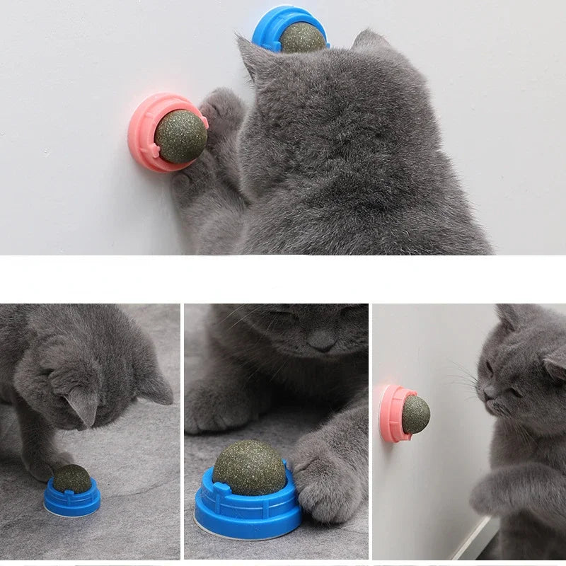 Cat Grass Toy – Natural Digestive Aid for Cats