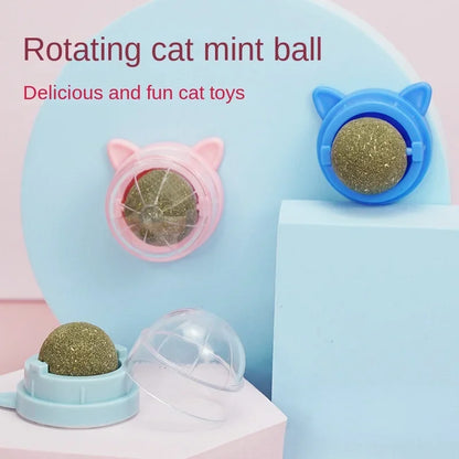 Cat Grass Toy – Natural Digestive Aid for Cats